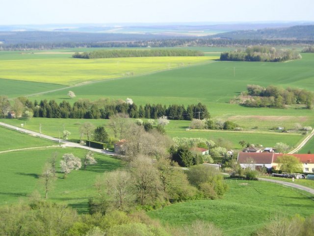 p1010014